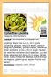 Mobile Preview: Cyclanthera pedata * Inkagurke * 10-1.000 Samen